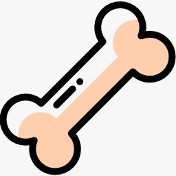 Bone